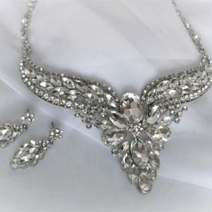 New Clear Rhinestone Necklace & Earring Set